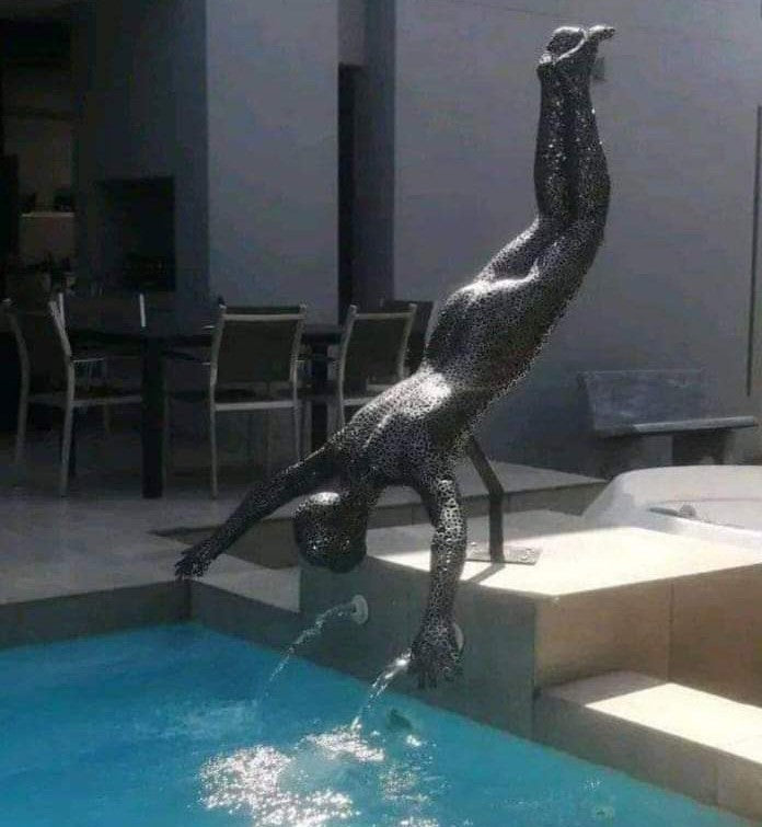 the dive